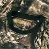 Härkila Moose Hunter T-shirt