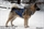 Neewa Sled Dog X-Back Dragsele