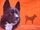 Mössa Karelsk Björnhund Orange