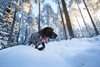 Ultracom Avius Hundpejl Paket