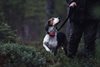 Ultracom Avius Hundpejl Paket
